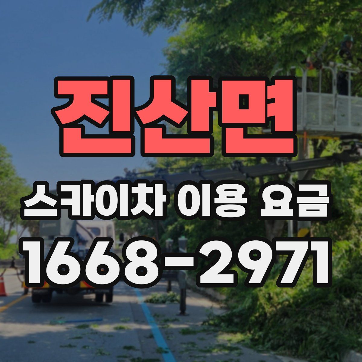진산면 스카이차 이용 요금