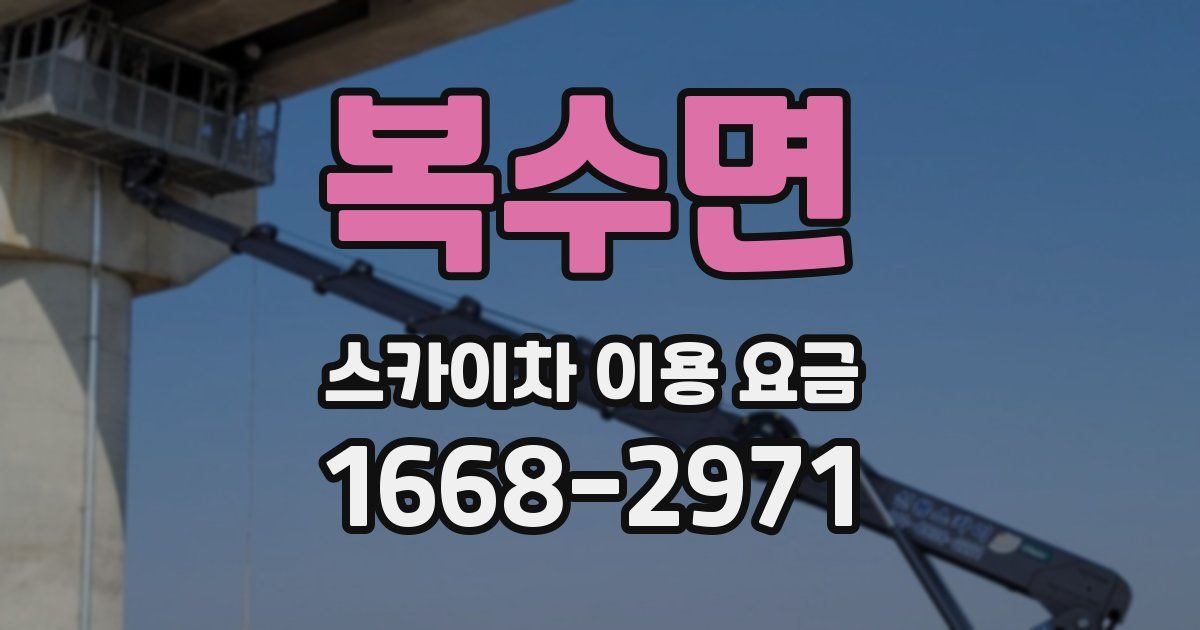 복수면 스카이차 이용 요금