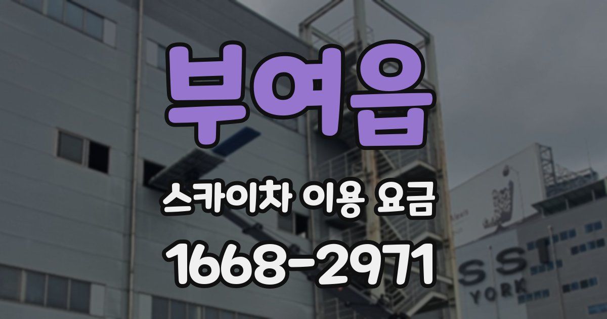 부여읍 스카이차 이용 요금
