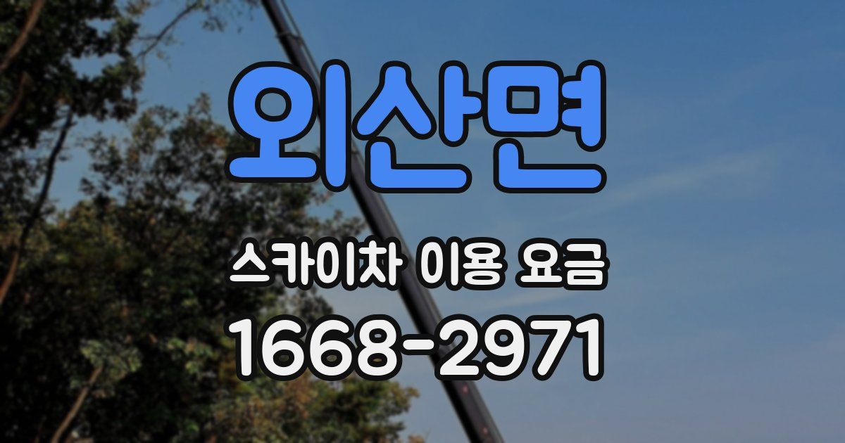 외산면 스카이차 이용 요금