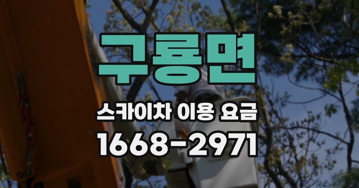 구룡면 스카이차 이용 요금