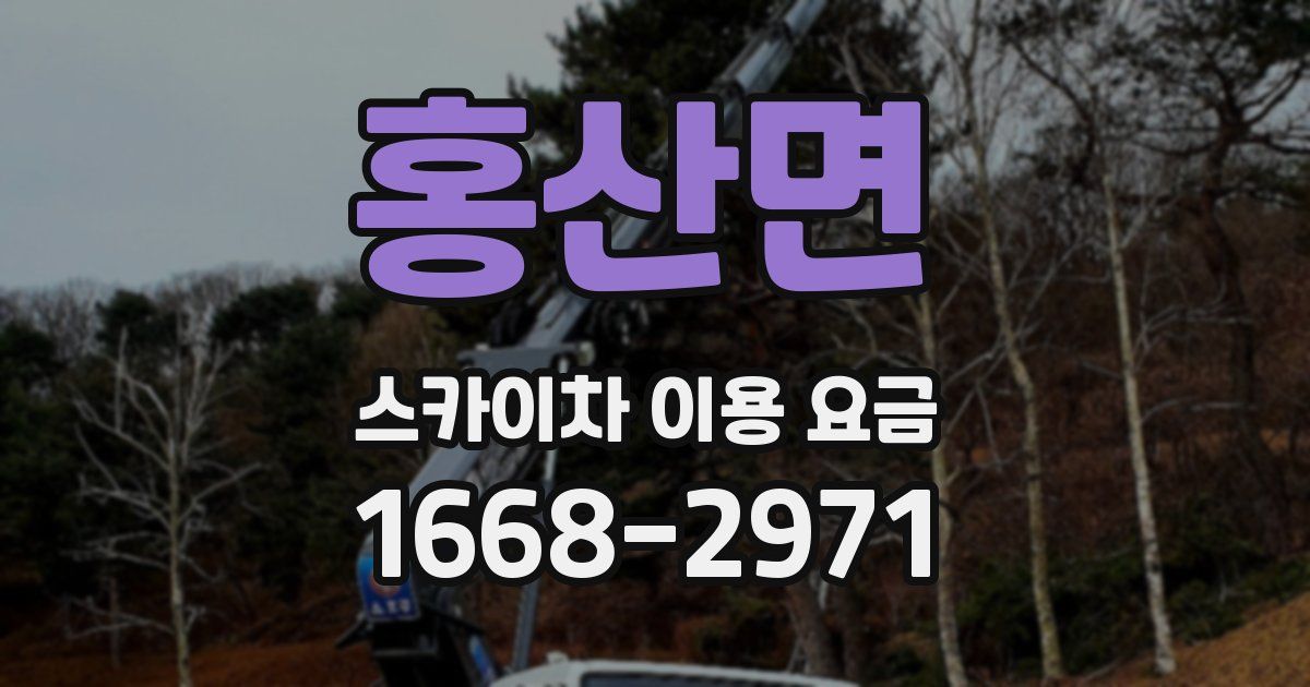 홍산면 스카이차 이용 요금
