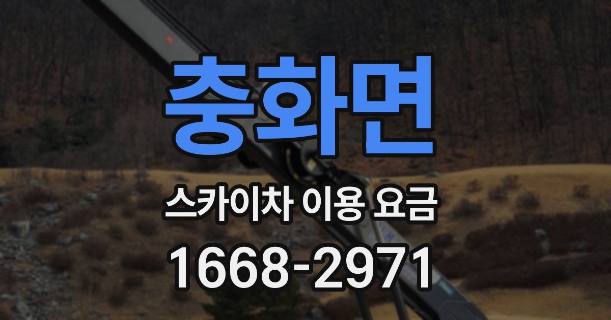 충화면 스카이차 이용 요금