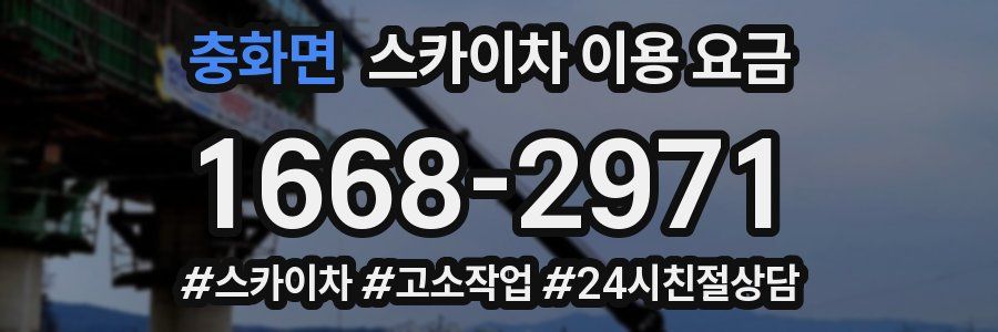 충화면 스카이차 이용 요금