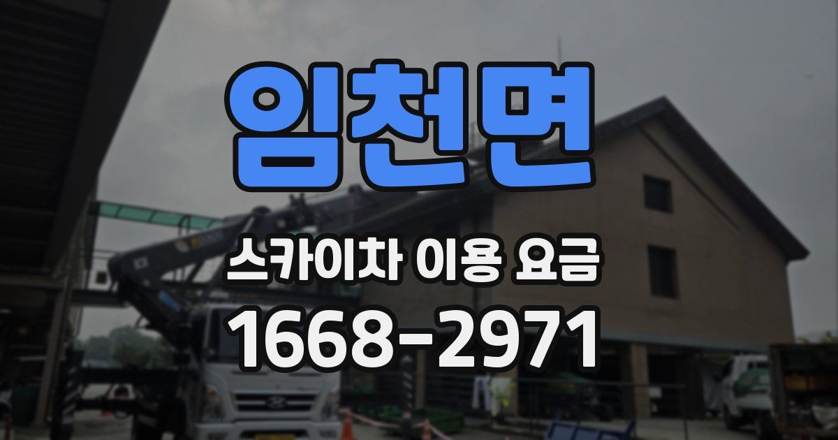 임천면 스카이차 이용 요금