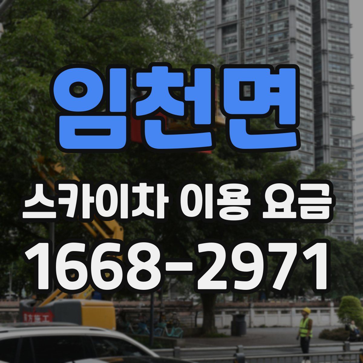 임천면 스카이차 이용 요금