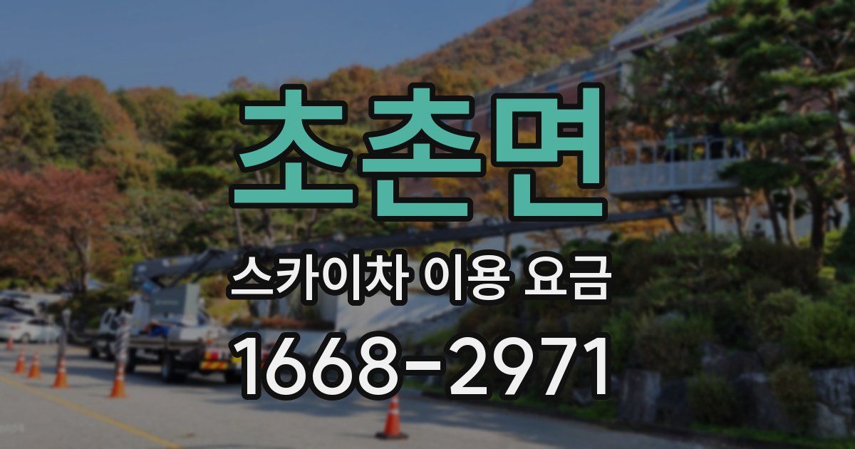 초촌면 스카이차 이용 요금
