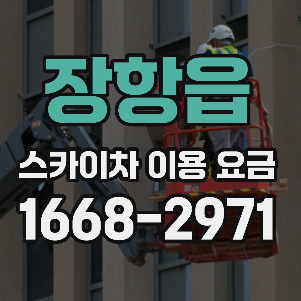 장항읍 스카이차 이용 요금