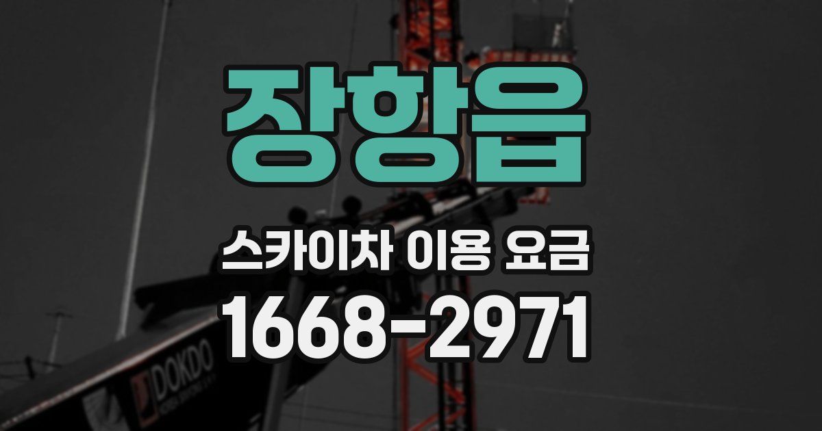 장항읍 스카이차 이용 요금