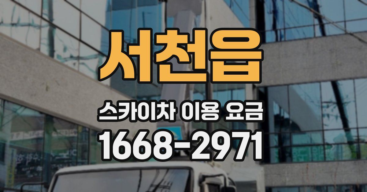 서천읍 스카이차 이용 요금