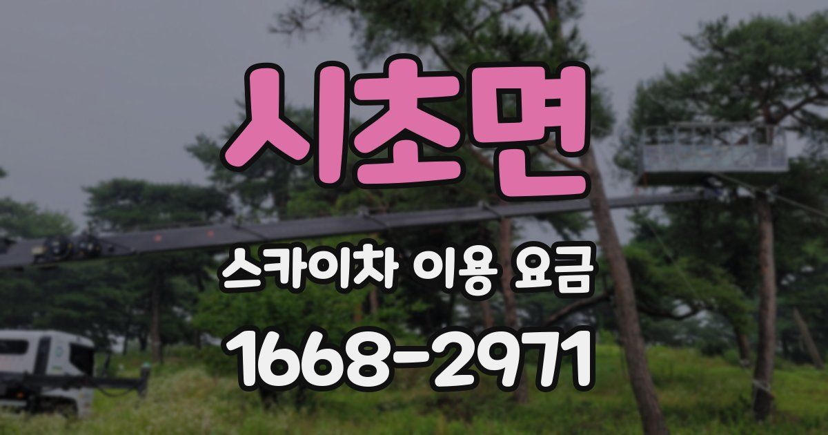 시초면 스카이차 이용 요금
