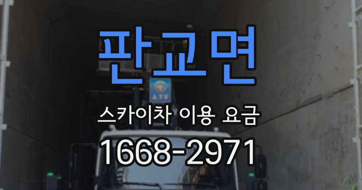 판교면 스카이차 이용 요금