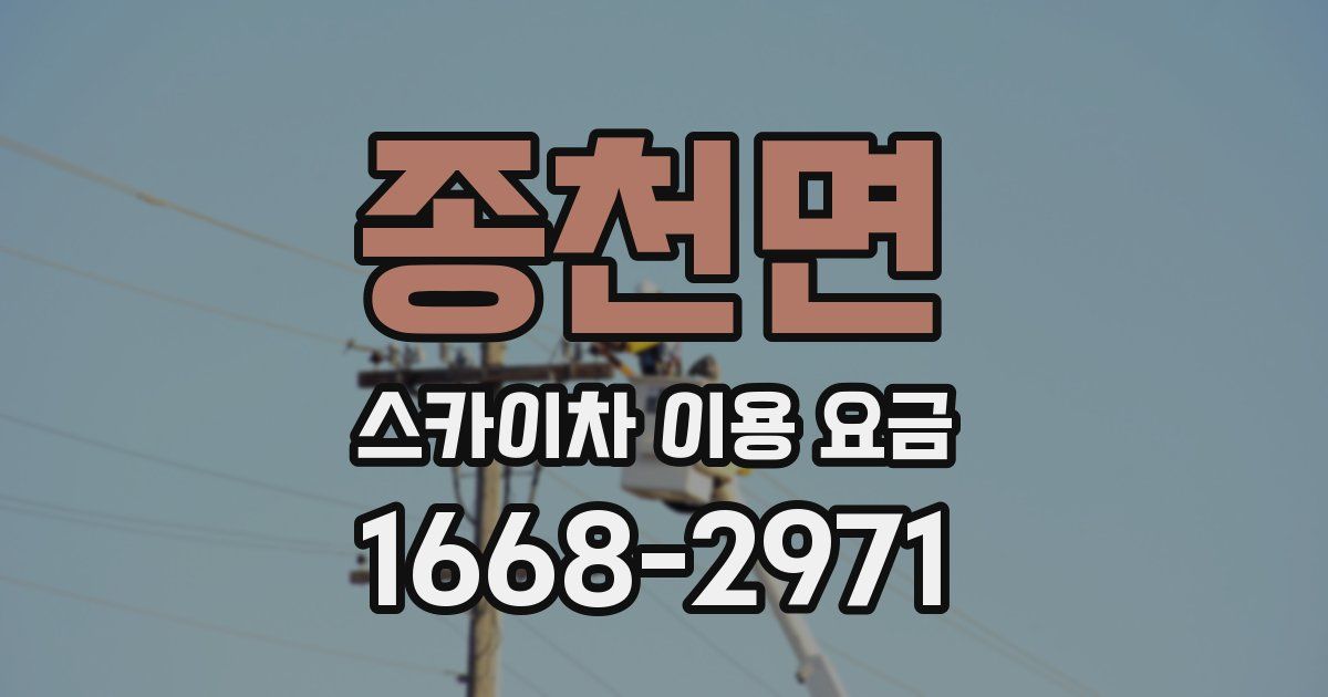 종천면 스카이차 이용 요금