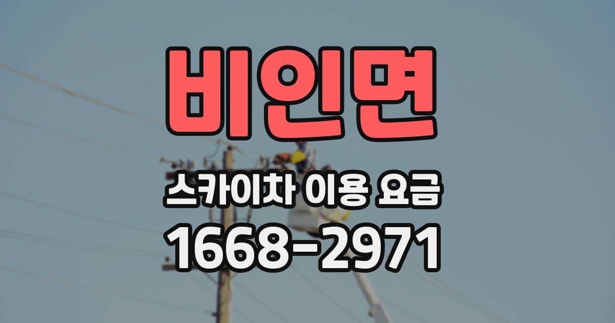 비인면 스카이차 이용 요금