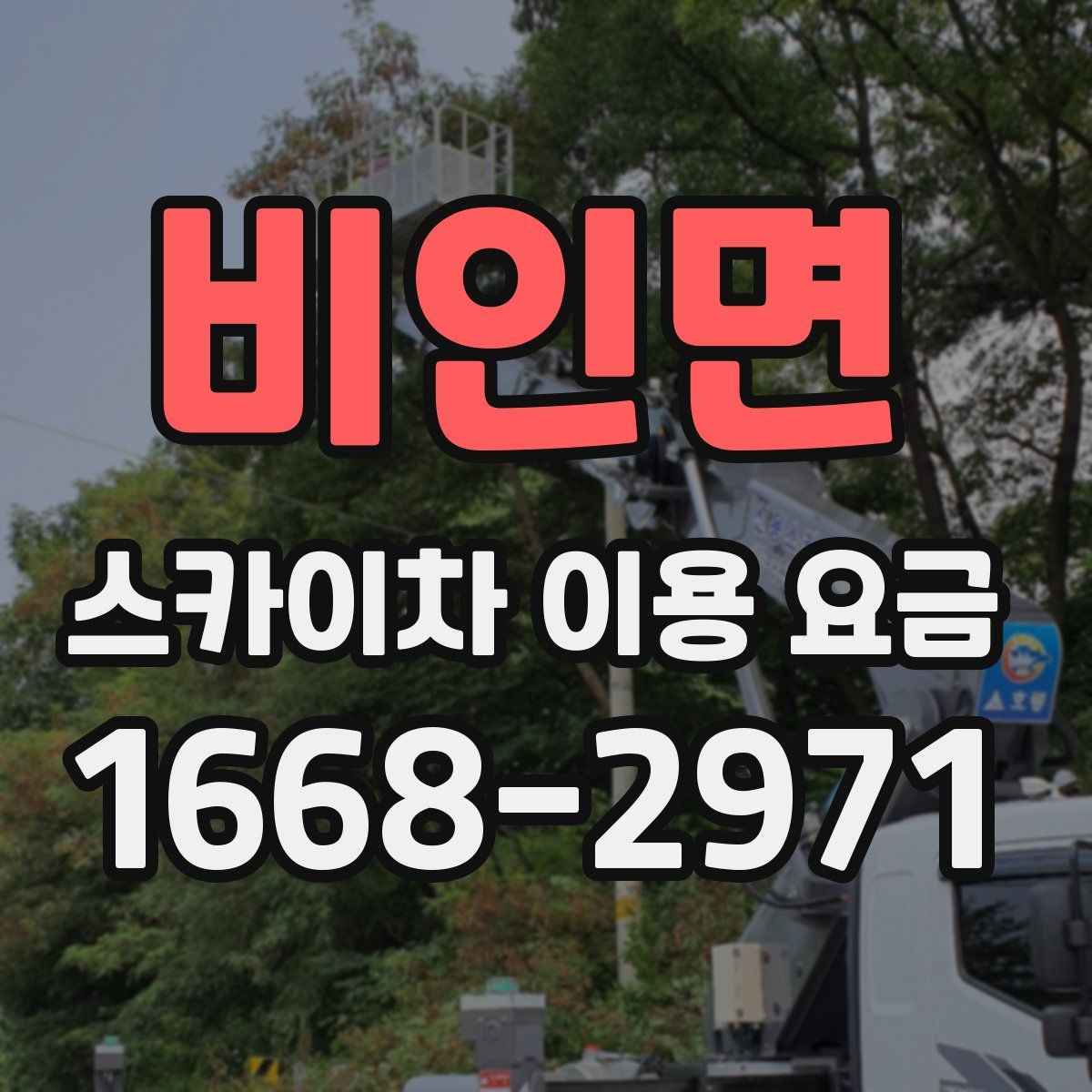 비인면 스카이차 이용 요금