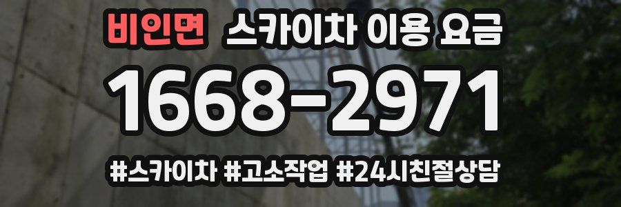 비인면 스카이차 이용 요금