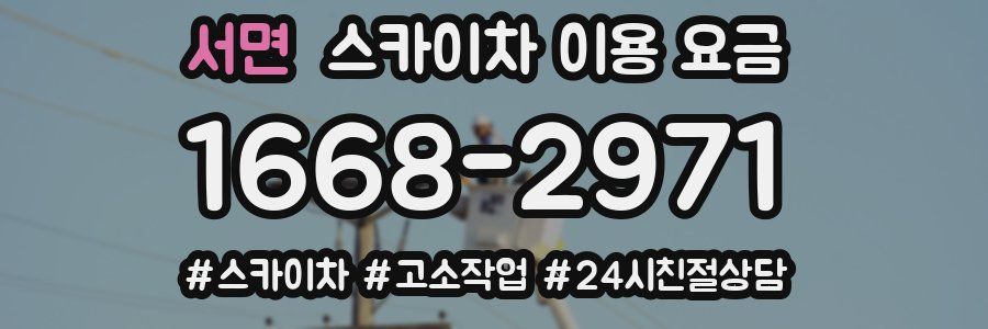 서면 스카이차 이용 요금