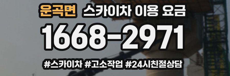 운곡면 스카이차 이용 요금