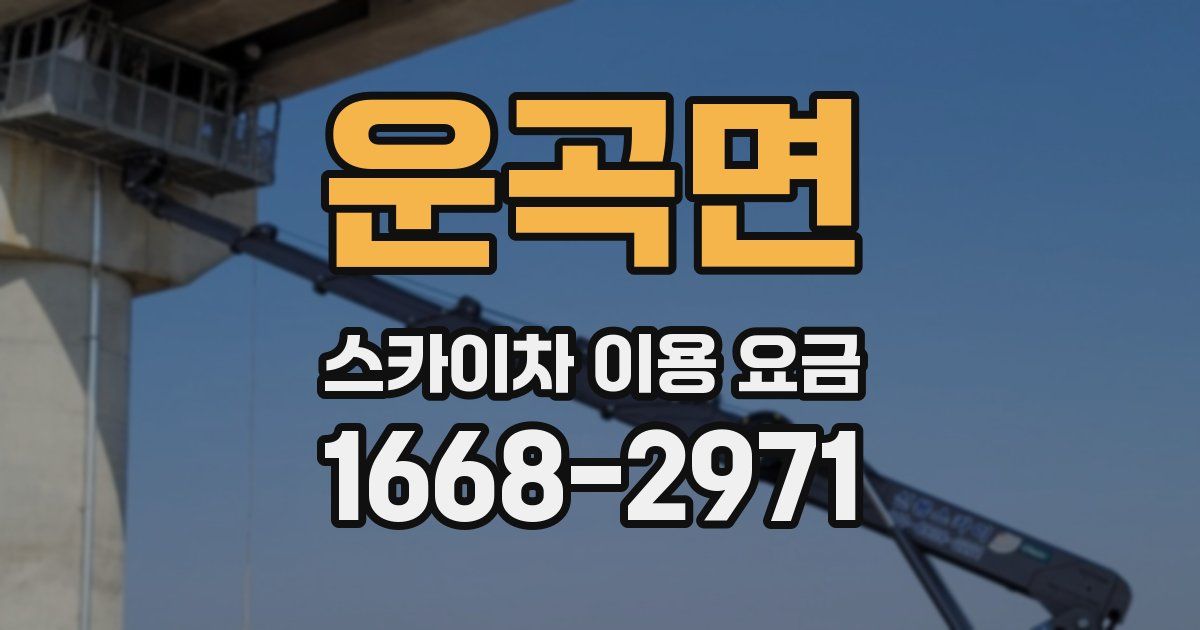 운곡면 스카이차 이용 요금