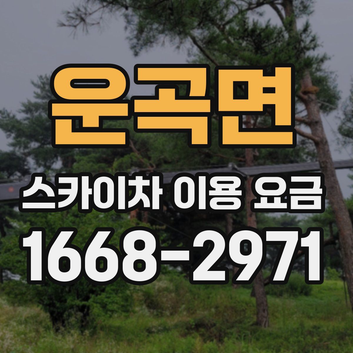운곡면 스카이차 이용 요금