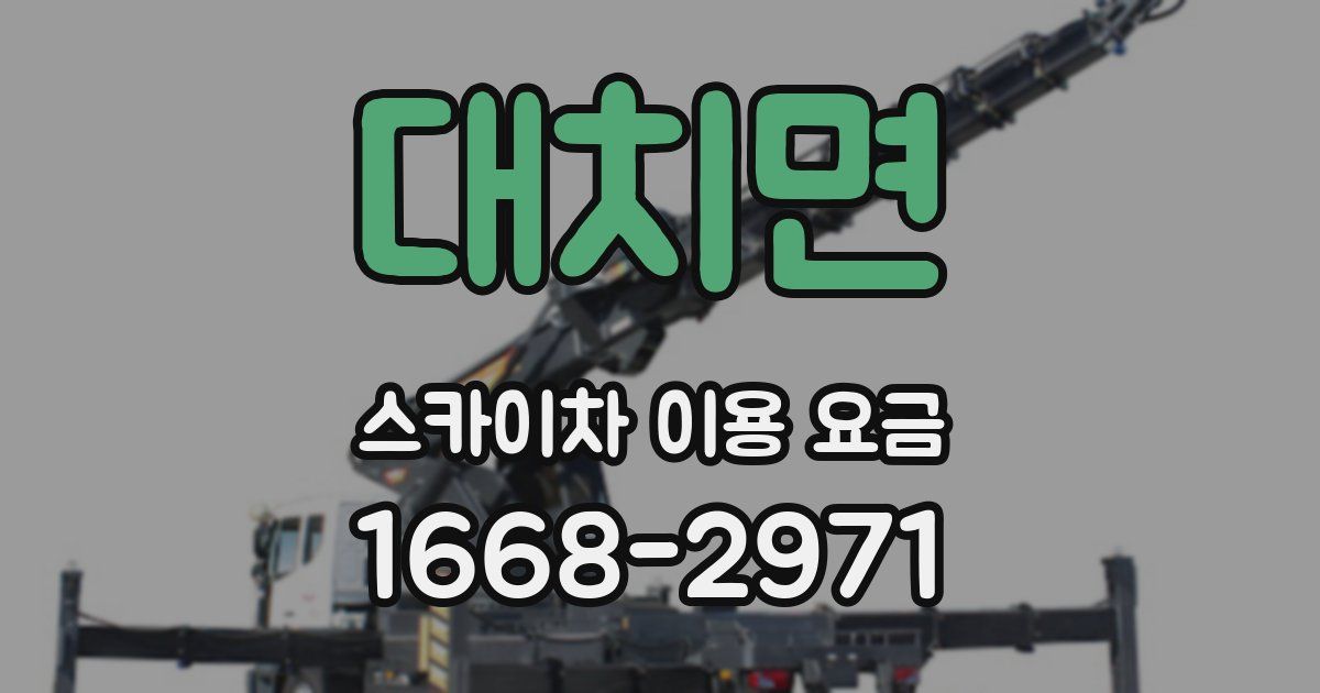 대치면 스카이차 이용 요금
