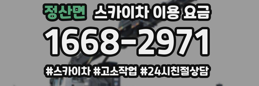 정산면 스카이차 이용 요금