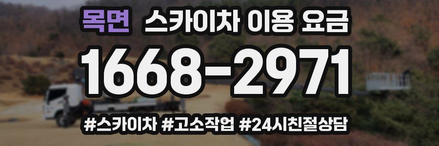 목면 스카이차 이용 요금