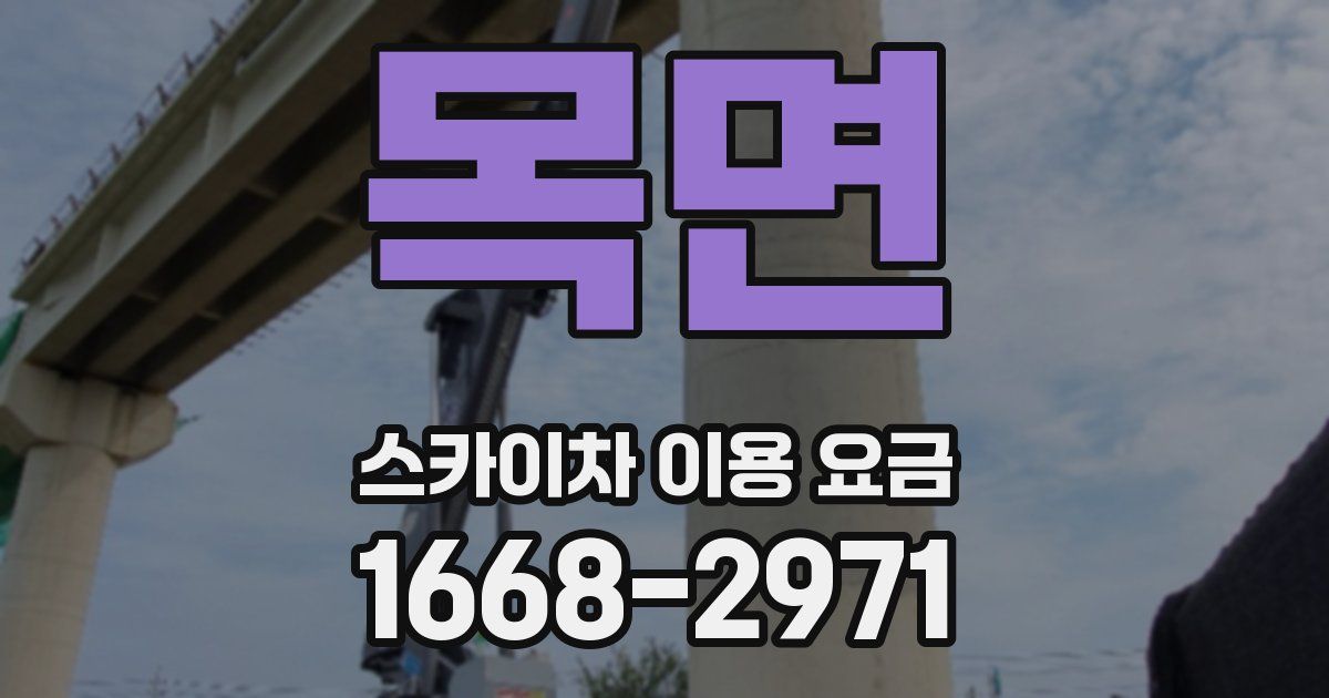 목면 스카이차 이용 요금