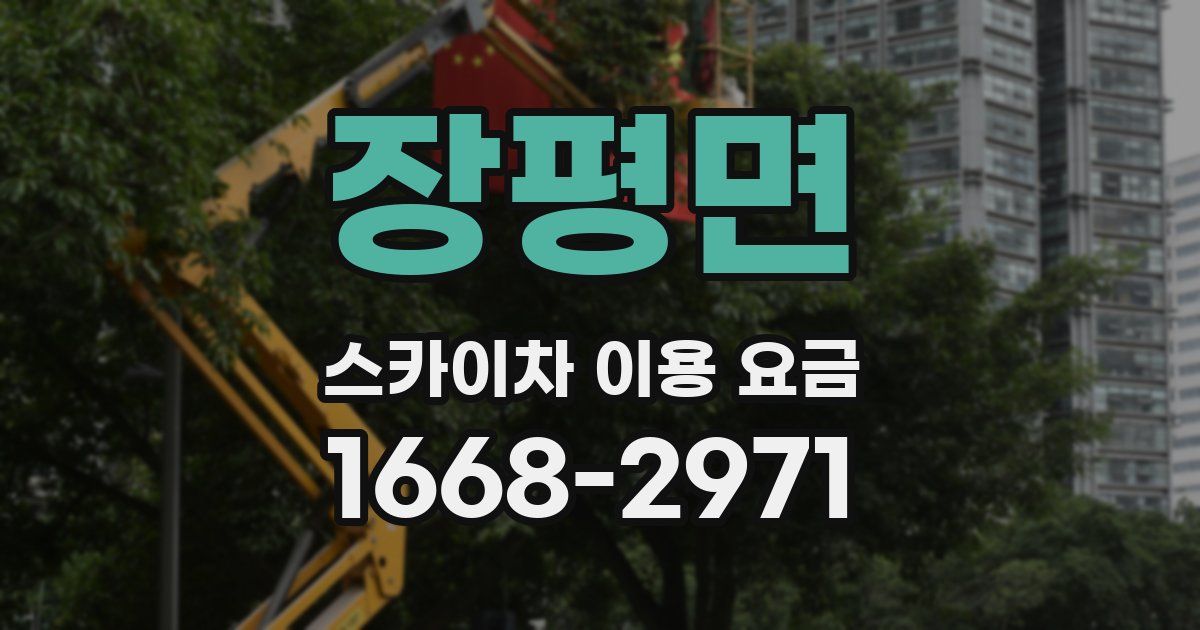장평면 스카이차 이용 요금