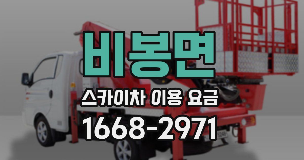 비봉면 스카이차 이용 요금