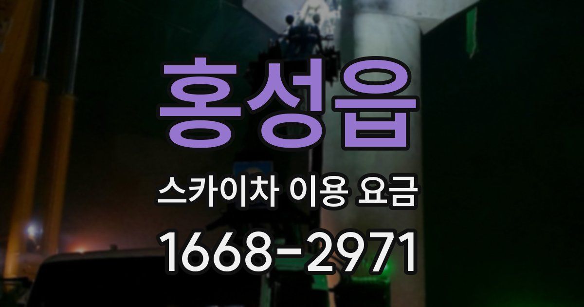 홍성읍 스카이차 이용 요금