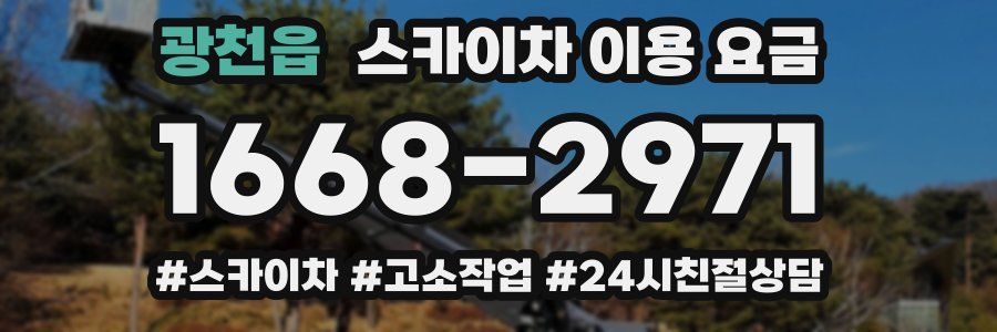 광천읍 스카이차 이용 요금