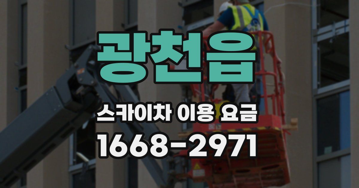 광천읍 스카이차 이용 요금
