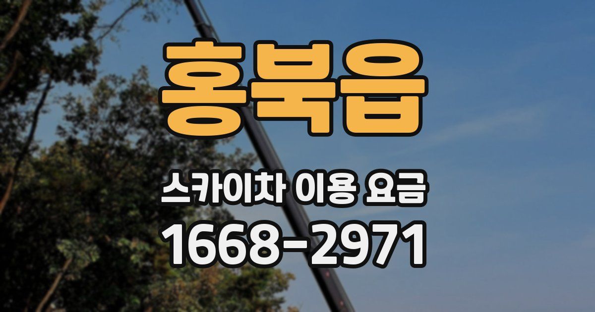 홍북읍 스카이차 이용 요금