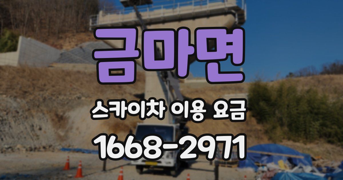 금마면 스카이차 이용 요금