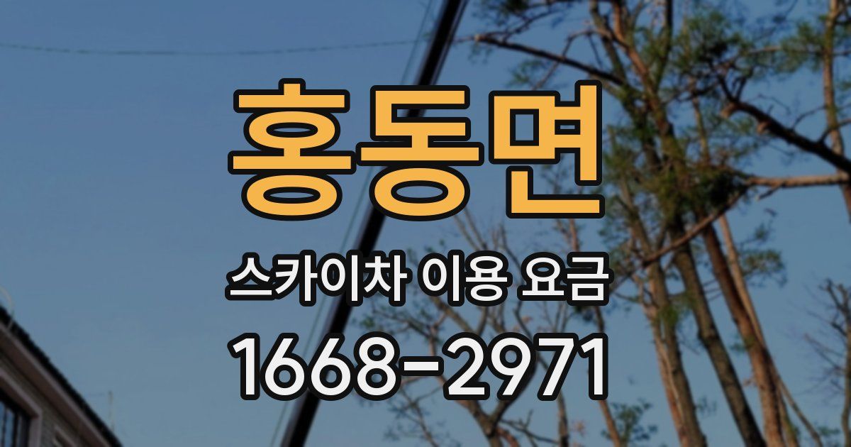 홍동면 스카이차 이용 요금