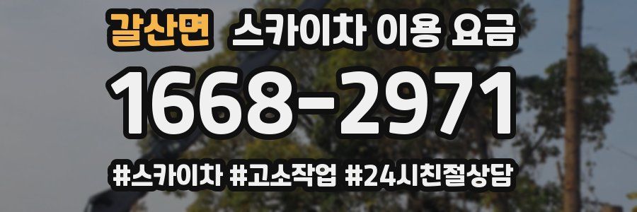 갈산면 스카이차 이용 요금