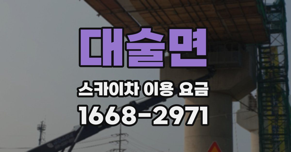 대술면 스카이차 이용 요금