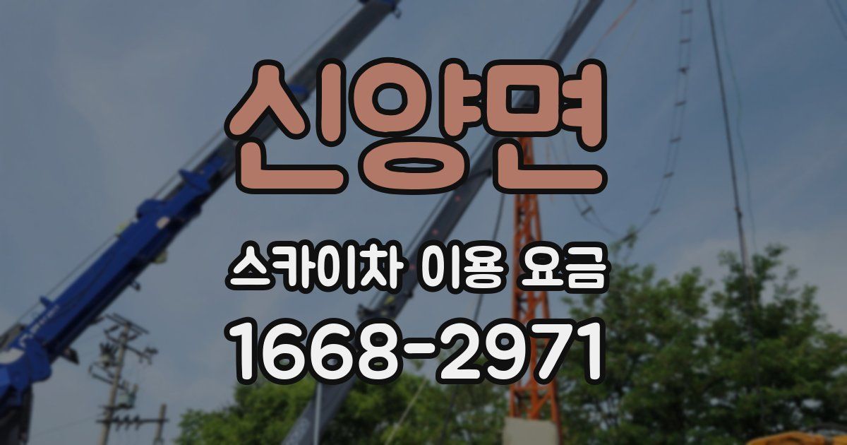 신양면 스카이차 이용 요금