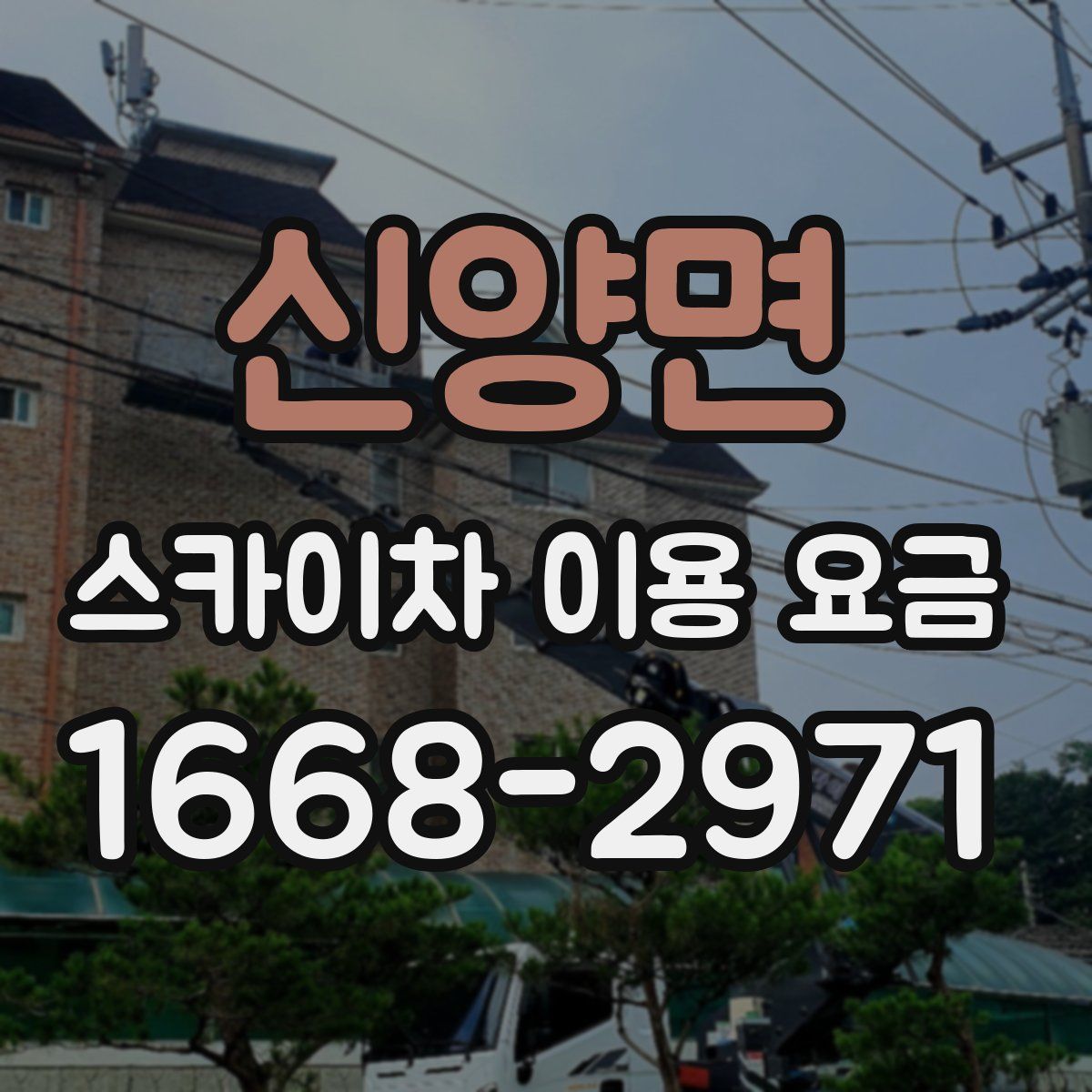 신양면 스카이차 이용 요금