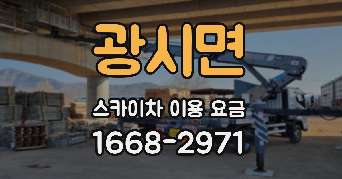 광시면 스카이차 이용 요금