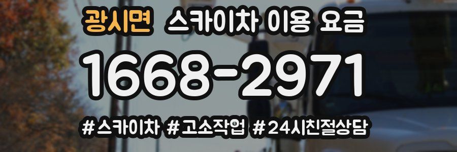 광시면 스카이차 이용 요금