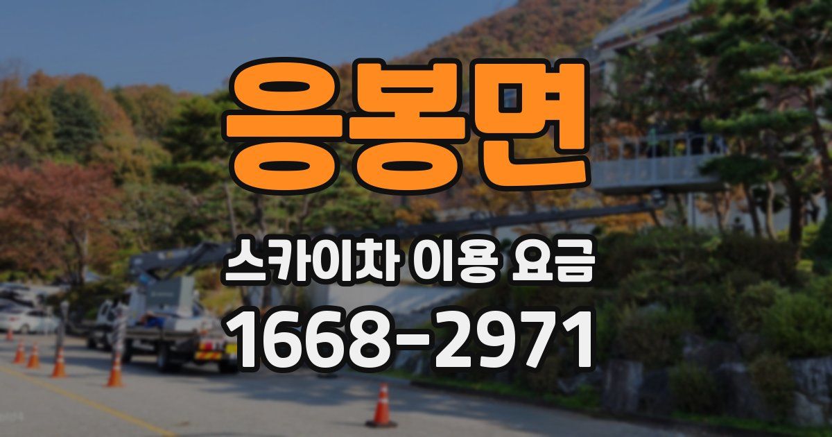 응봉면 스카이차 이용 요금
