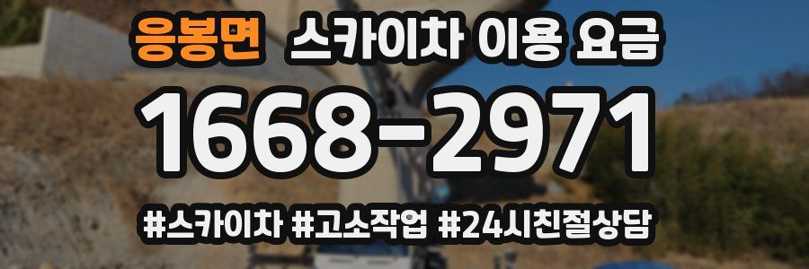응봉면 스카이차 이용 요금