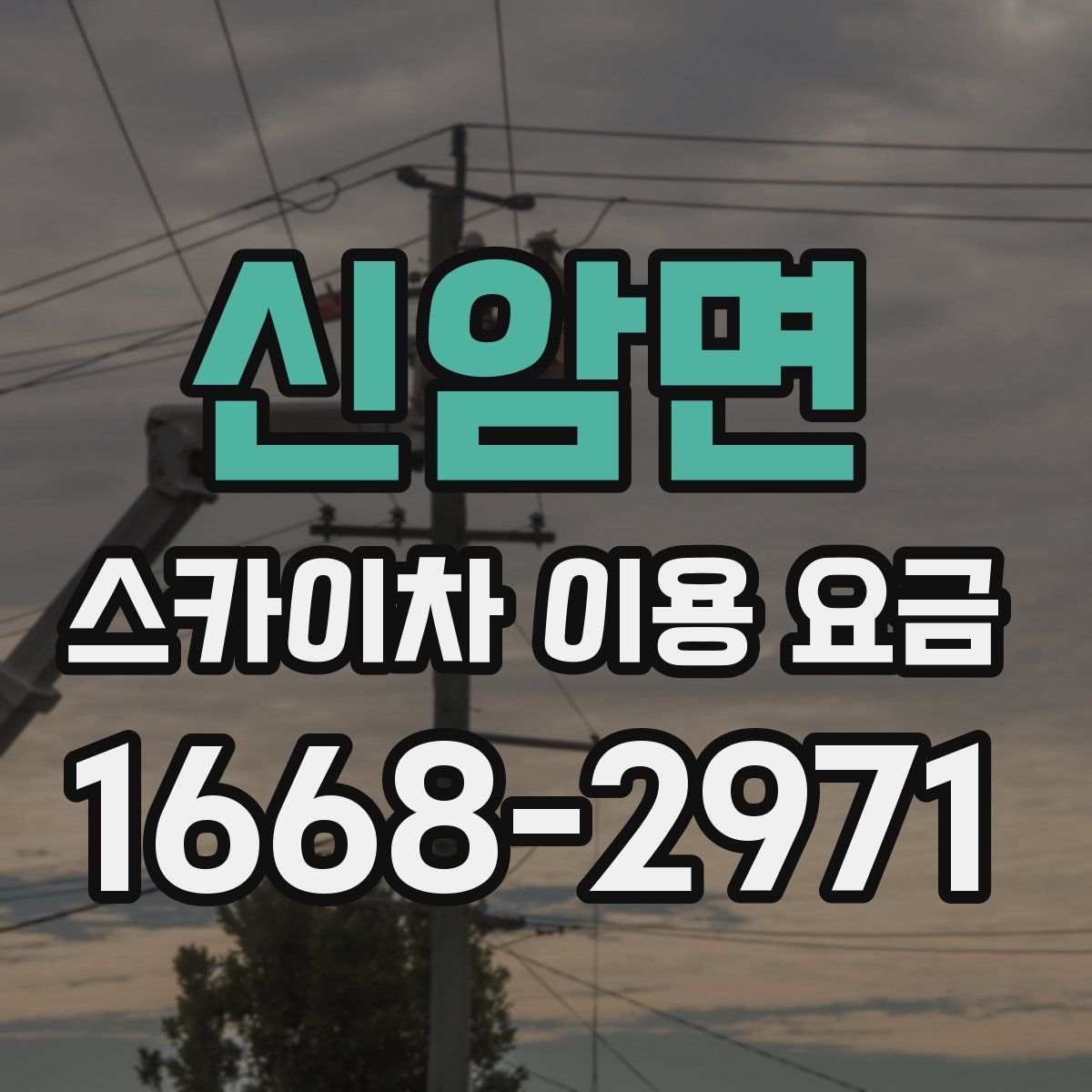 신암면 스카이차 이용 요금