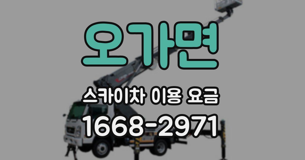 오가면 스카이차 이용 요금