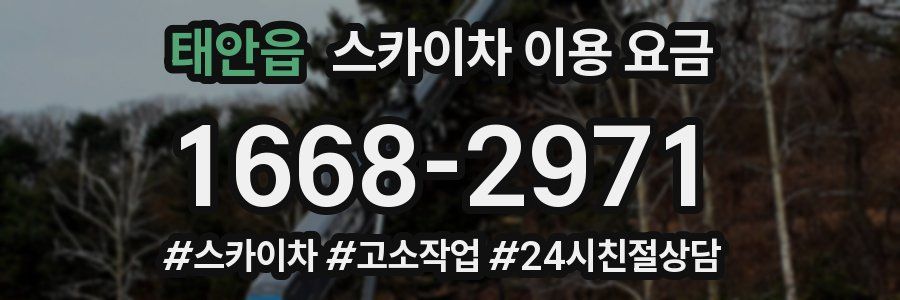 태안읍 스카이차 이용 요금