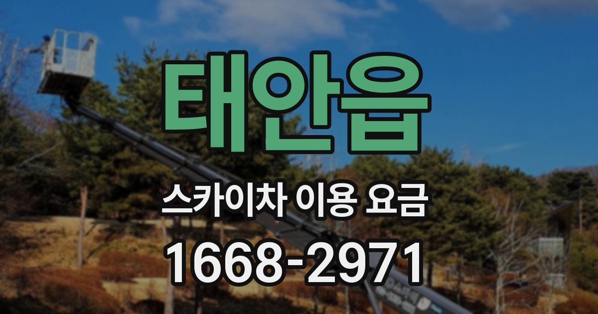 태안읍 스카이차 이용 요금