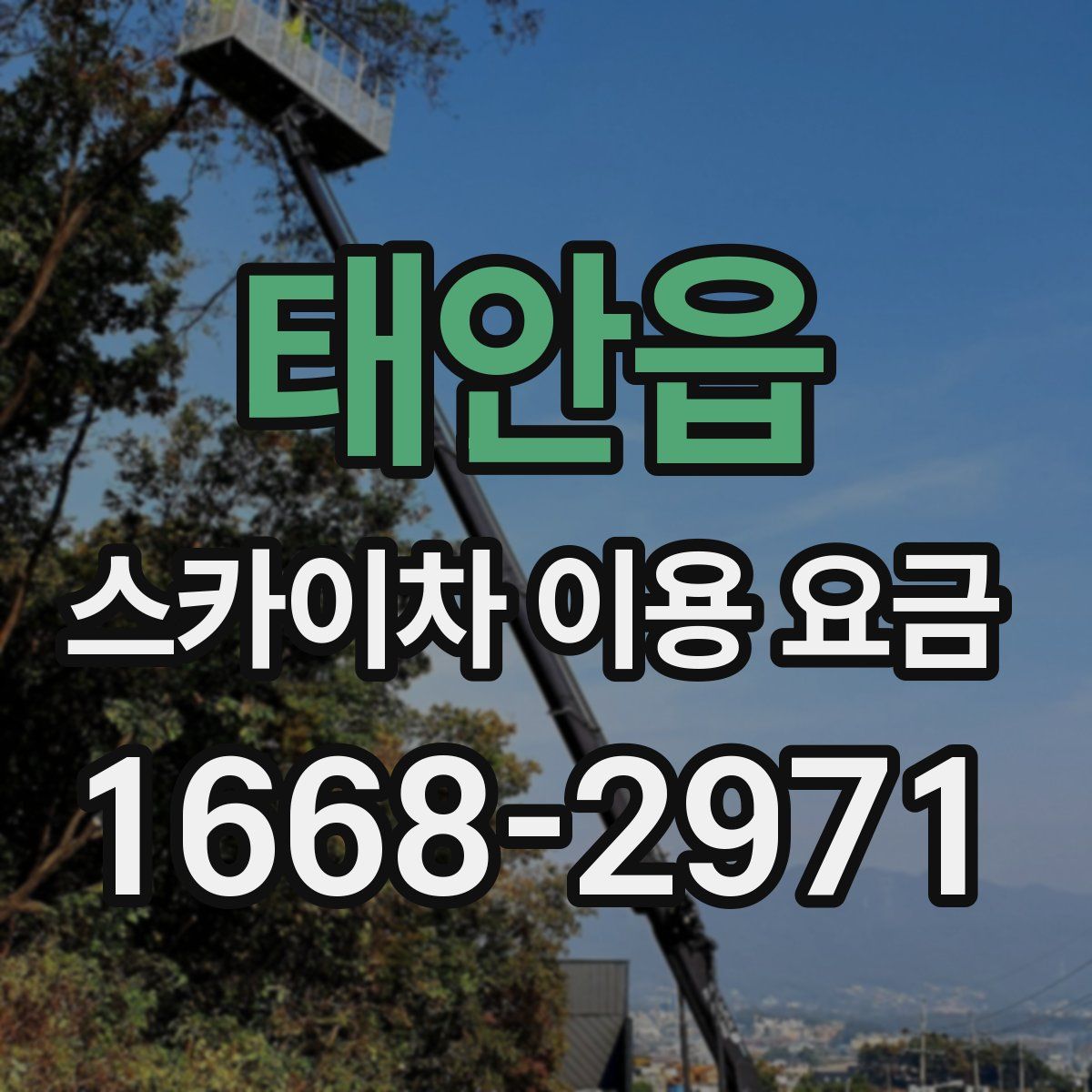 태안읍 스카이차 이용 요금