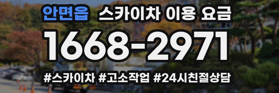 안면읍 스카이차 이용 요금